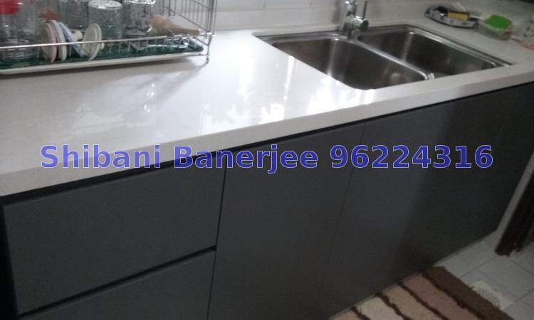 The Tanamera (D16), Condominium #167570012